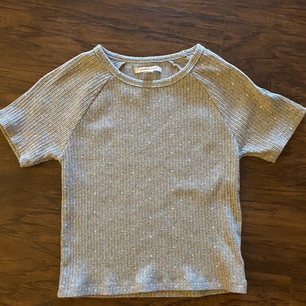 american eagle crop top